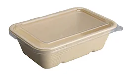 PET Lid for 450-1000ml Rec Box, DAILYECO product DBA95116