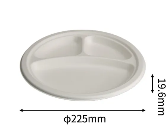 9” 3 Compartment Plate, DAILYECO product DBA95014
