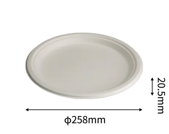 10” Plate, DAILYECO product DBA95016
