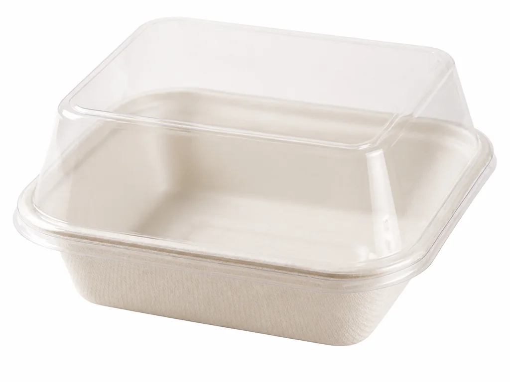 PET Lid for 6 inch Cake Tray, DAILYECO product DBA95028